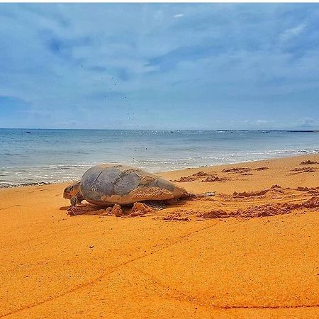 Pousada Costa Dourada Baía Formosa Esterno foto