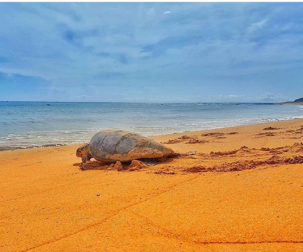 Pousada Costa Dourada Baía Formosa Esterno foto